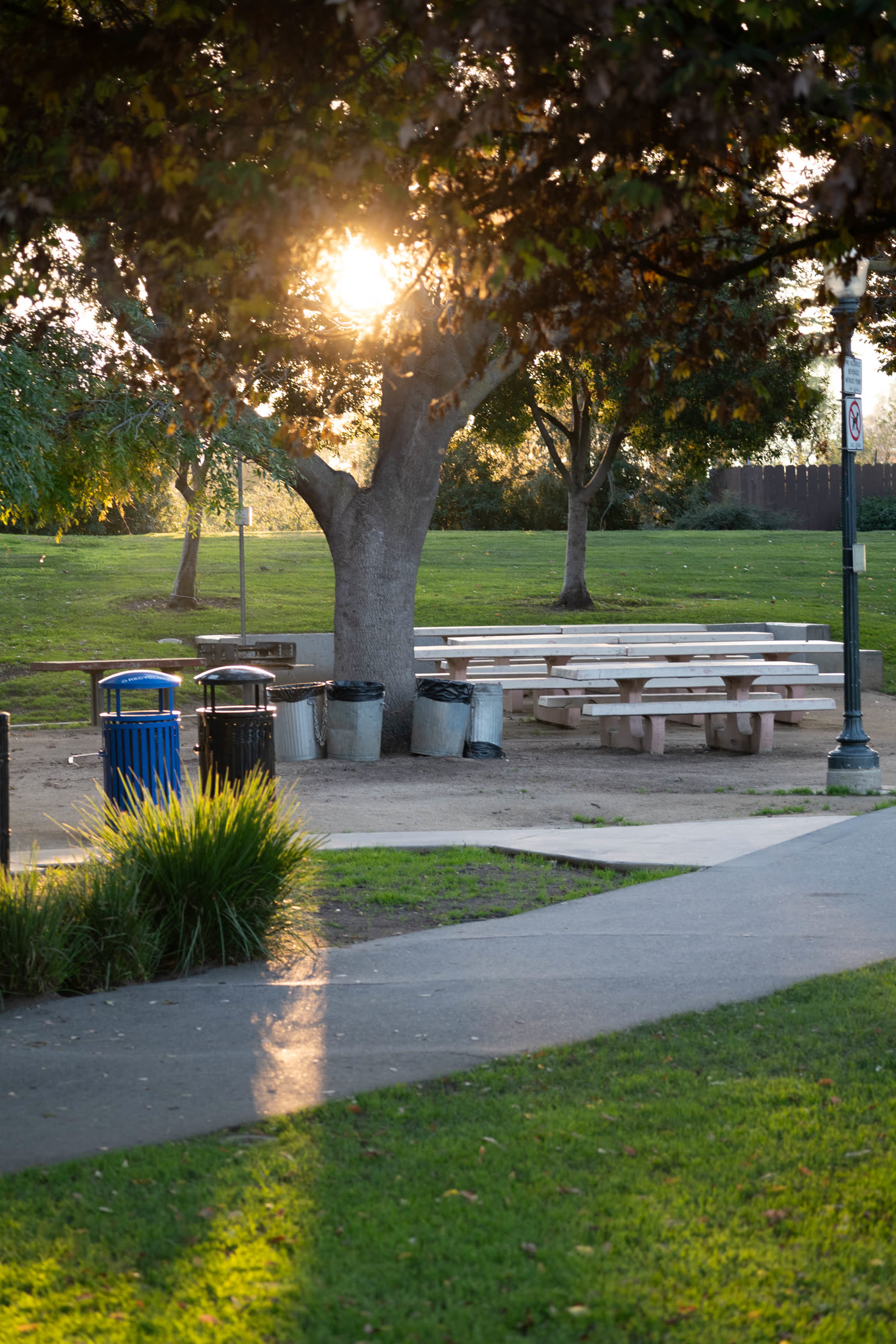 A park with picnic tables backlit by low evening sun