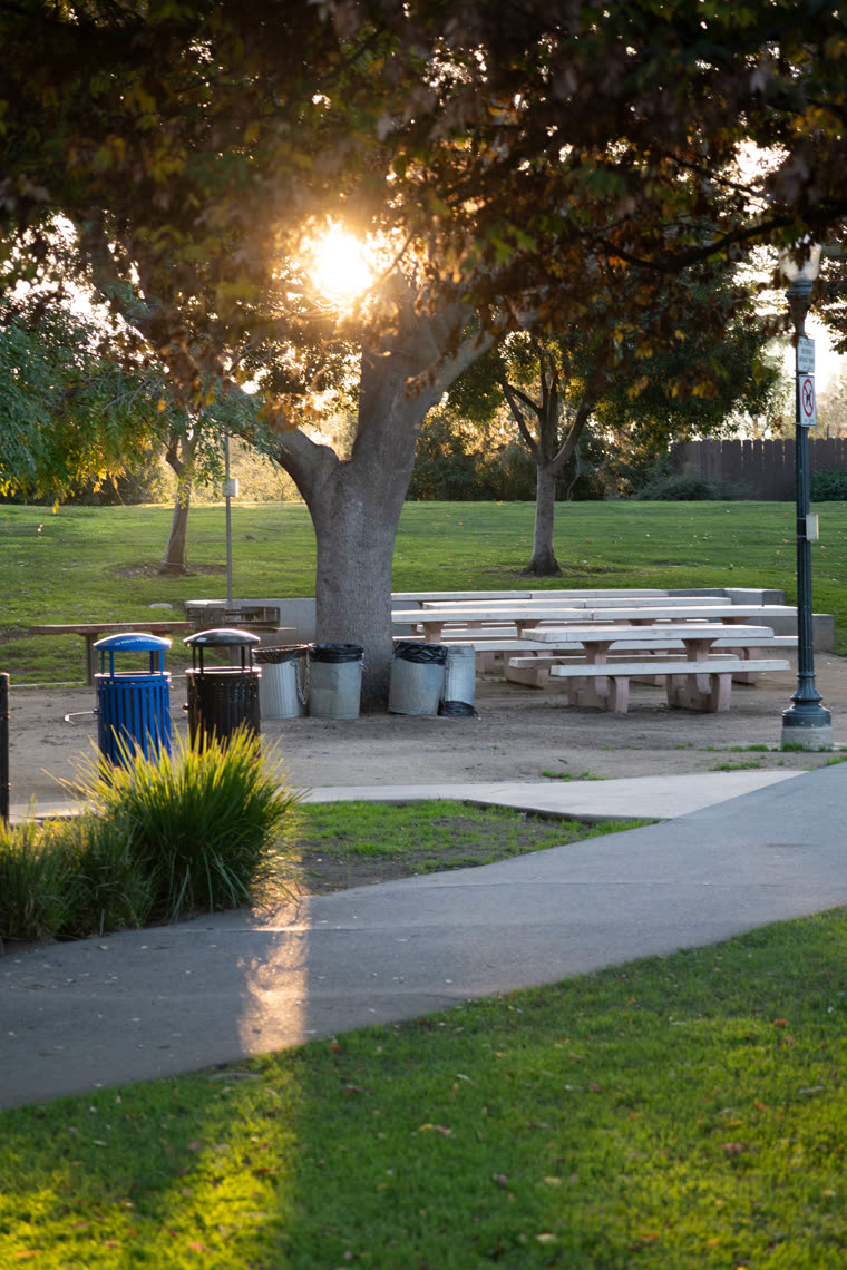 A park with picnic tables backlit by low evening sun